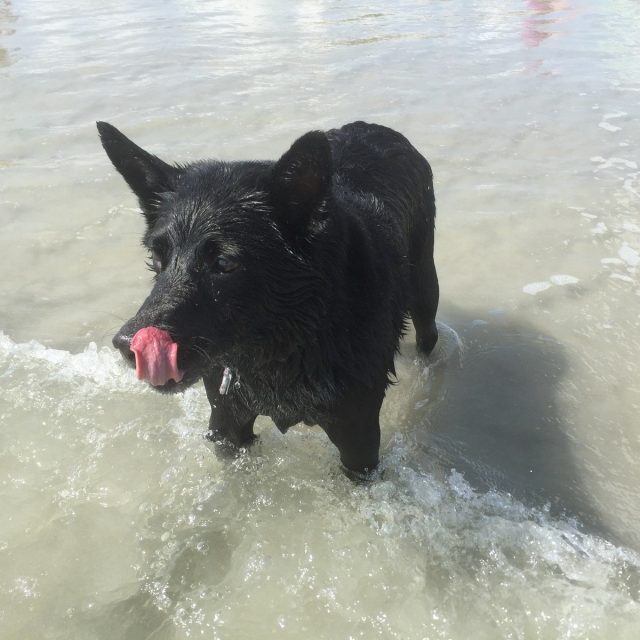 Salt Water, Eww