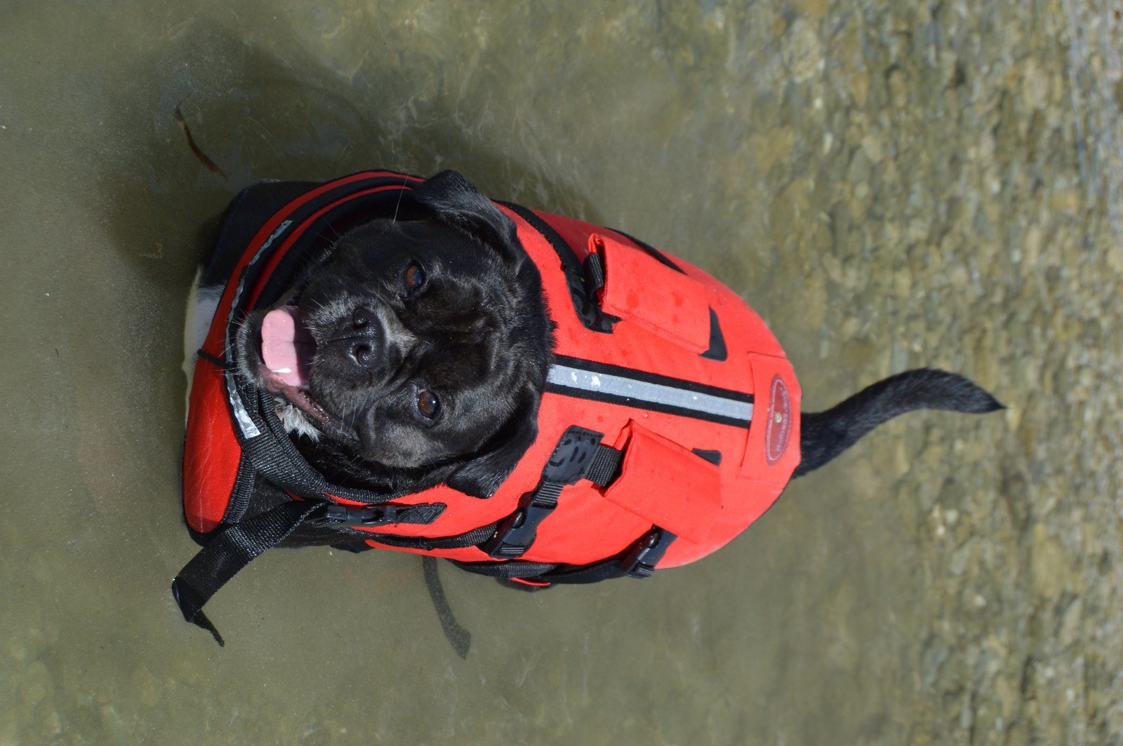 Rockin' Her Red Life Jacket!