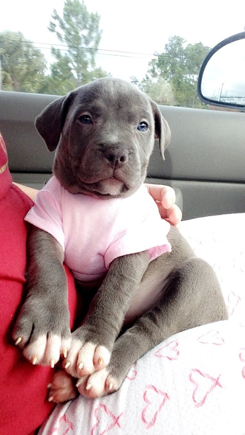 Little Miss Priss 🎀