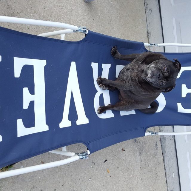 Got My Chair, Now Let's Go Beachin'!