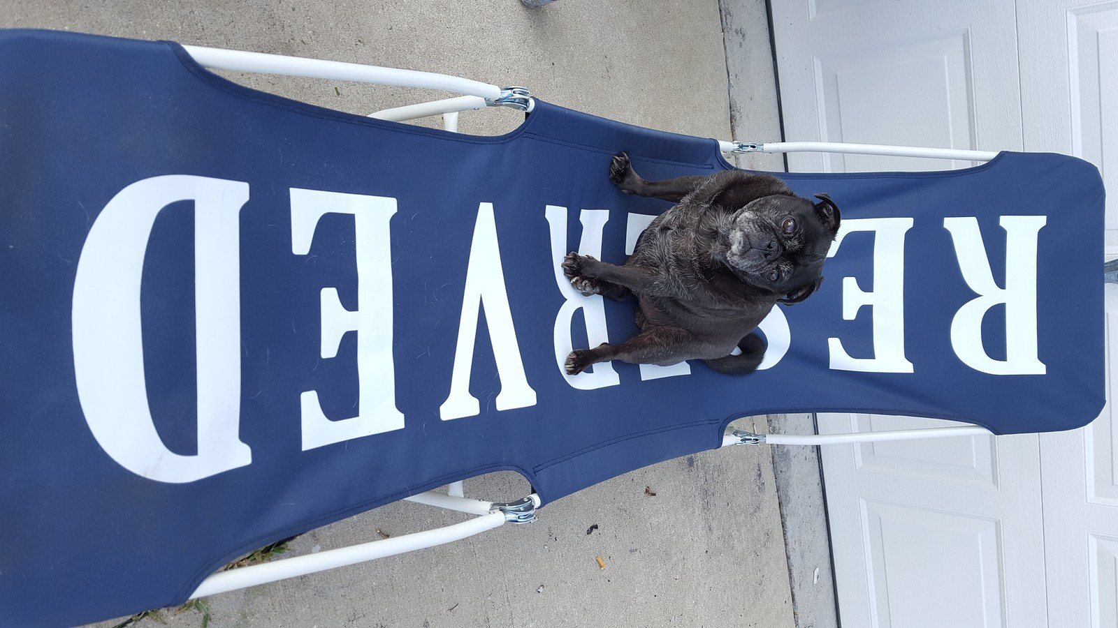 Got My Chair, Now Let's Go Beachin'!