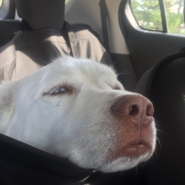Are We There Yet?