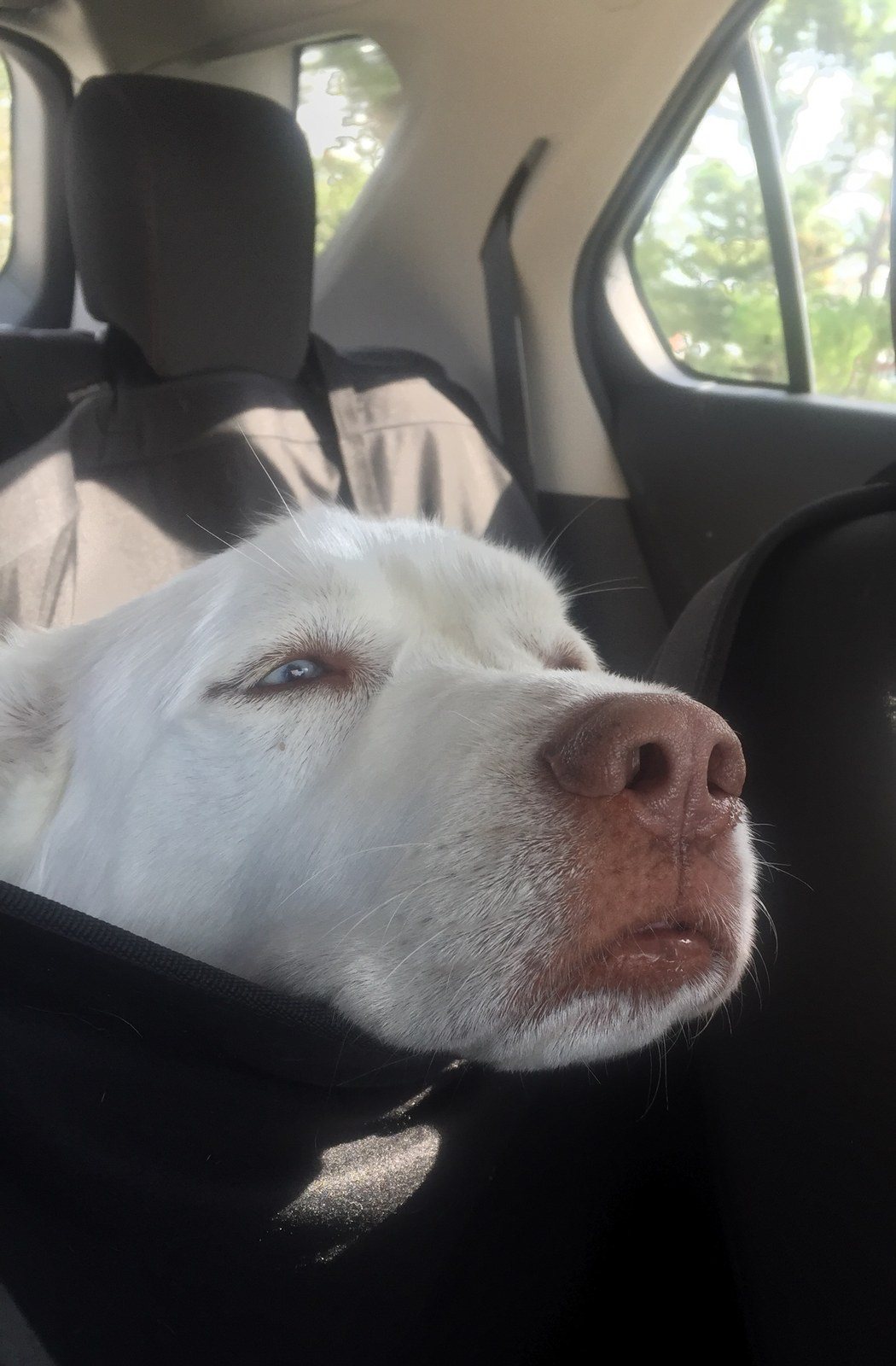 Are We There Yet?