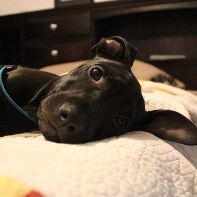 Nap Time