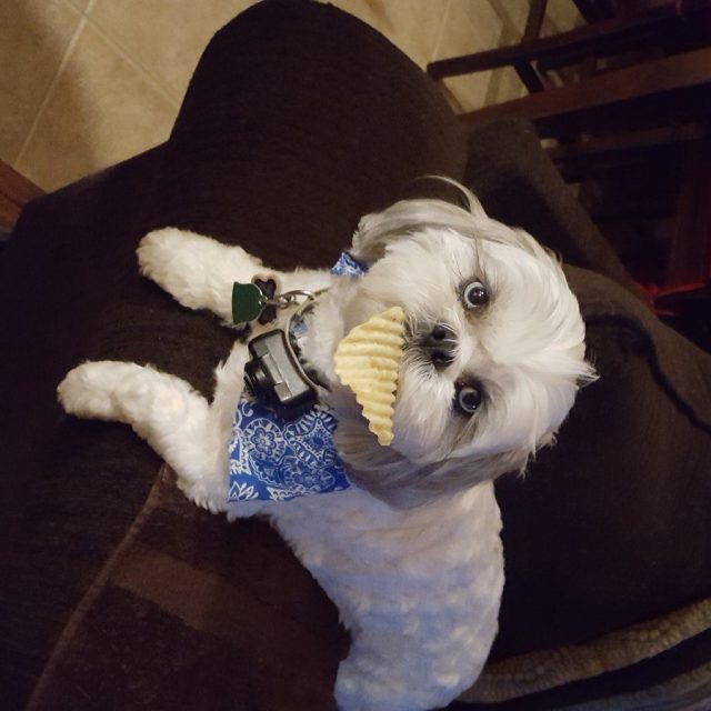 Bruce's photo