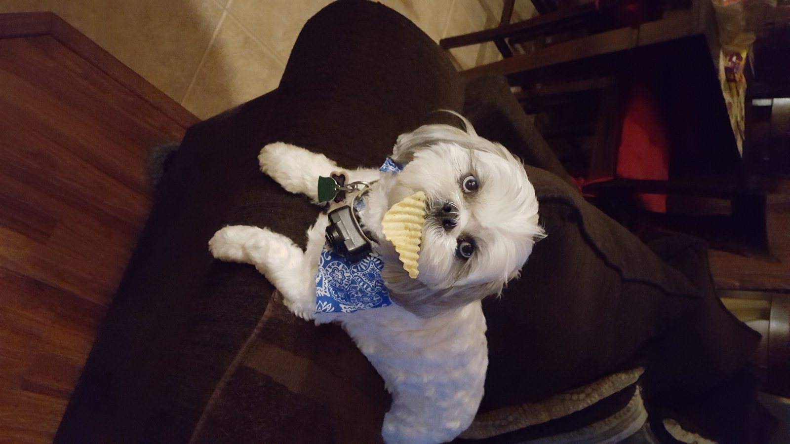 Bruce's photo