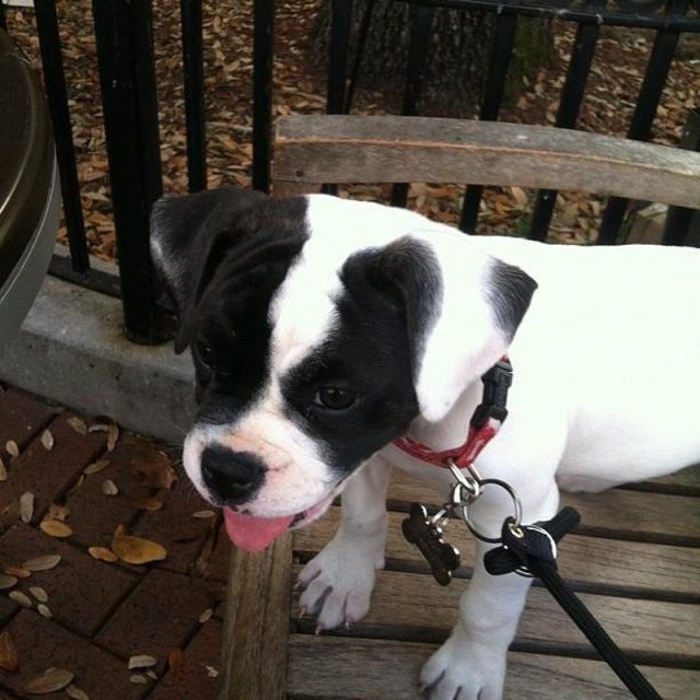Sitting On A Park Bench