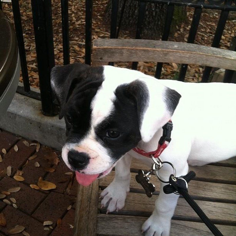 Sitting On A Park Bench