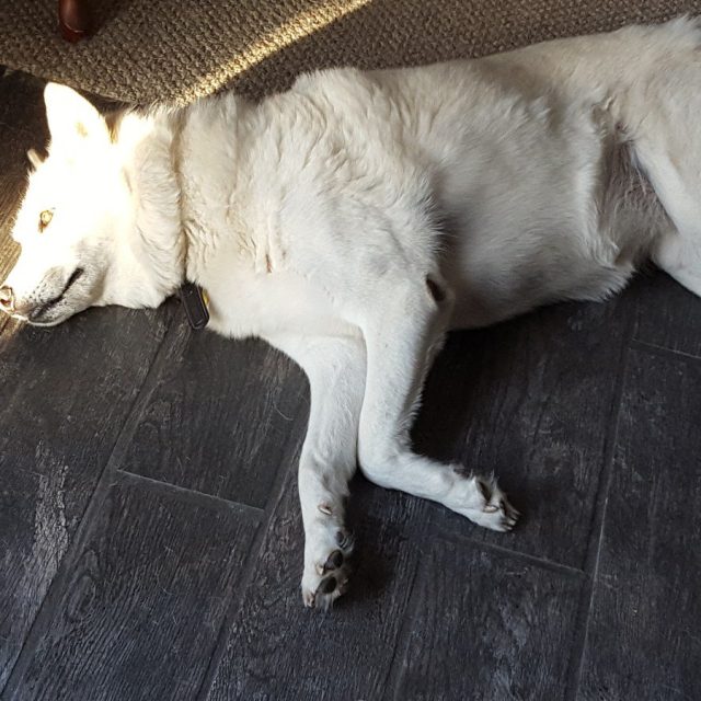 I See The Light!! But I'm To Lazy To Move.