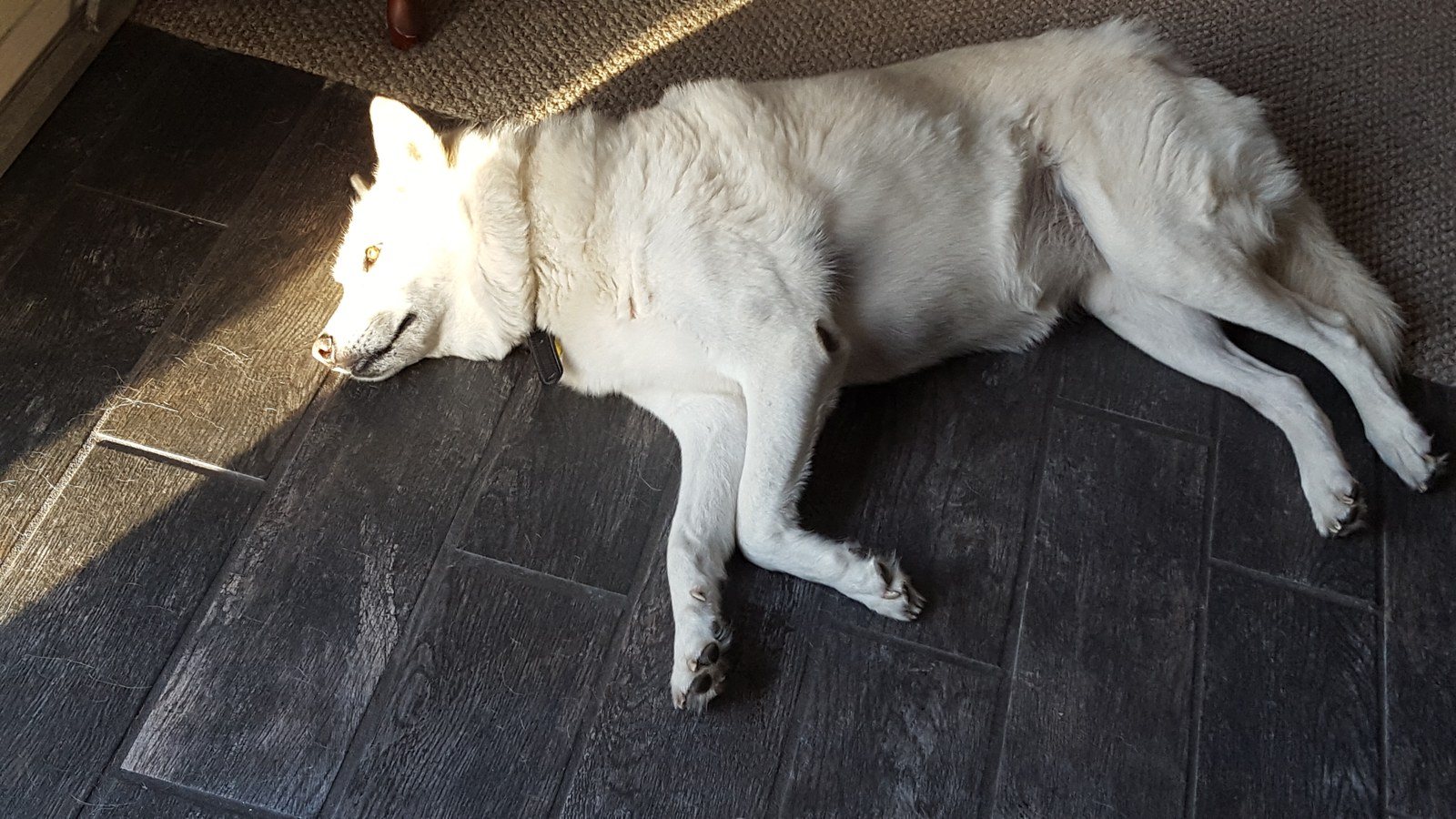 I See The Light!! But I'm To Lazy To Move.