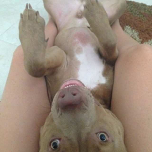 Belly Rubs For Days!