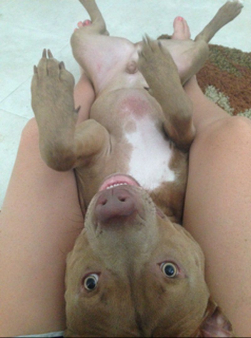 Belly Rubs For Days!