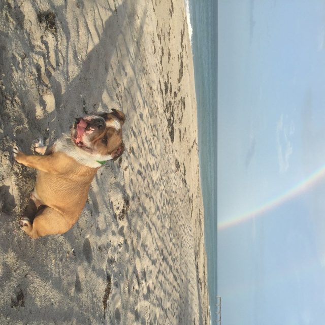Chasing Rainbows