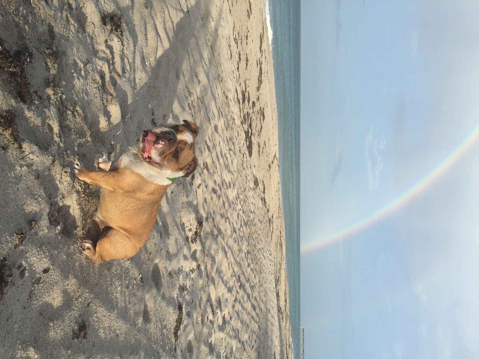 Chasing Rainbows
