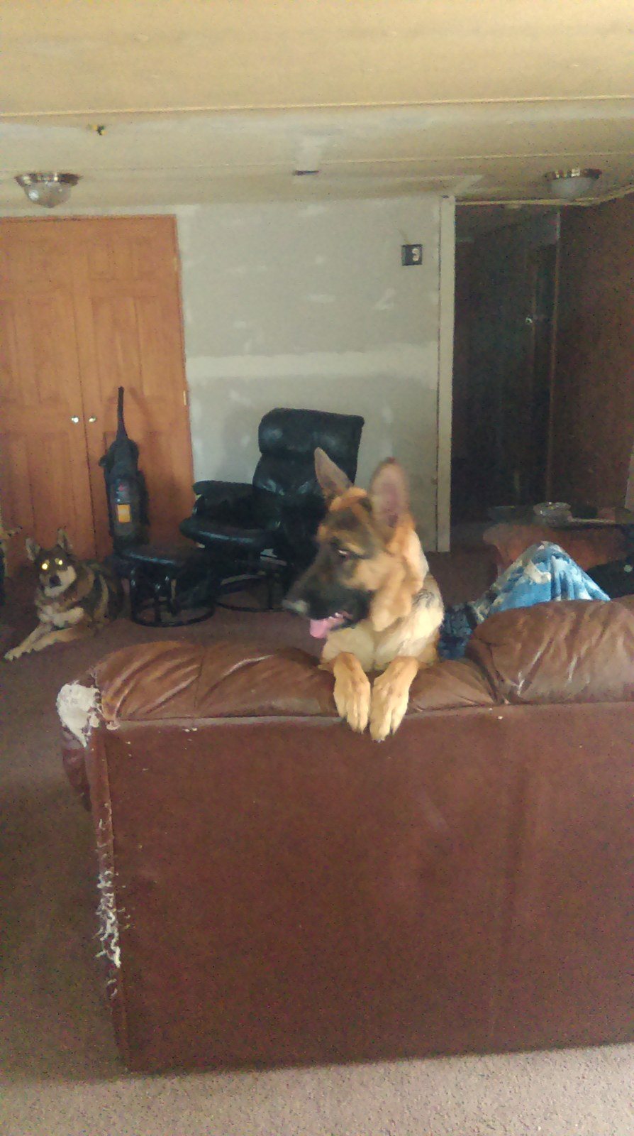 Wsiting For Me To Cime In The House