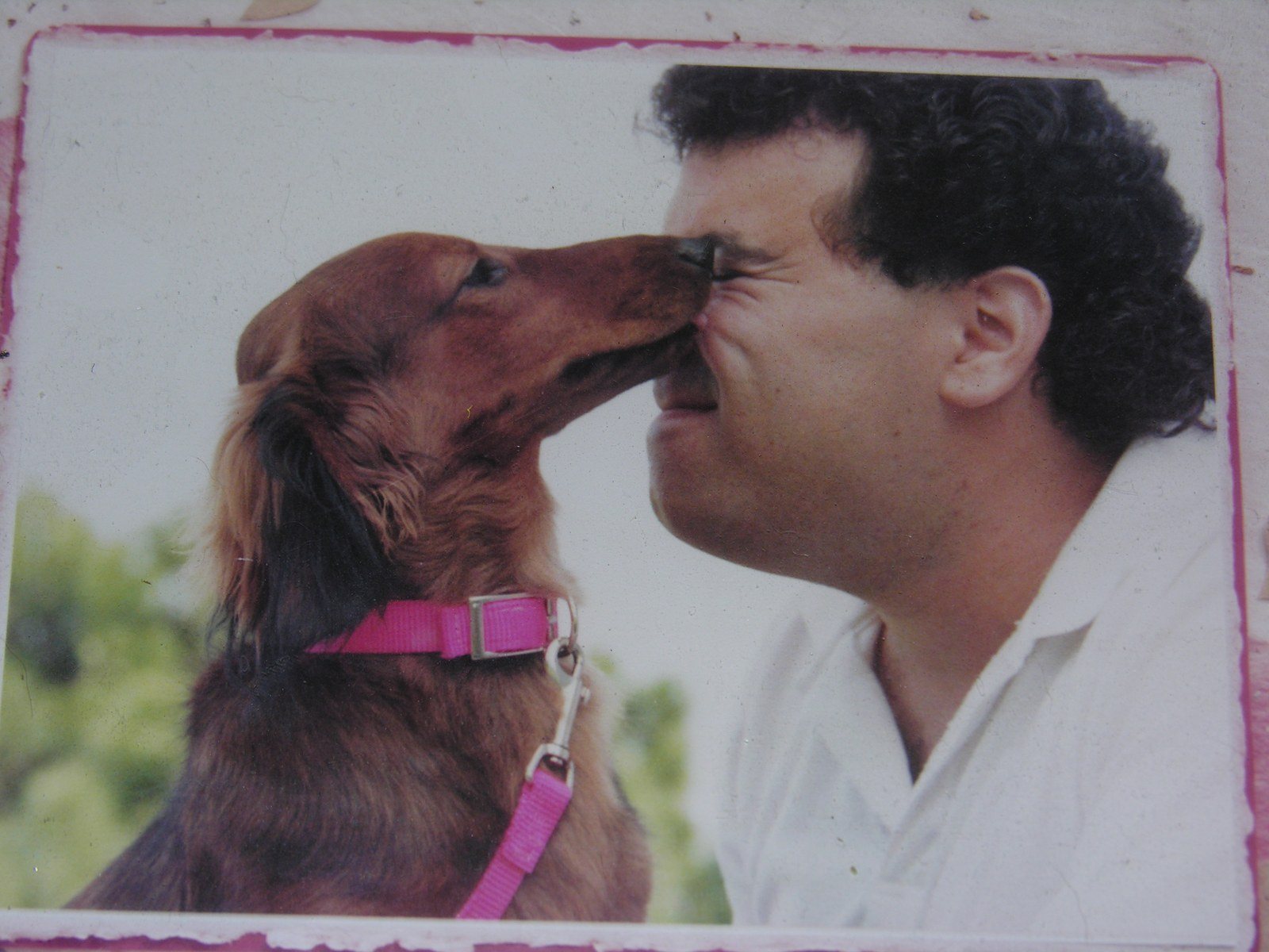 Puppy Kisses