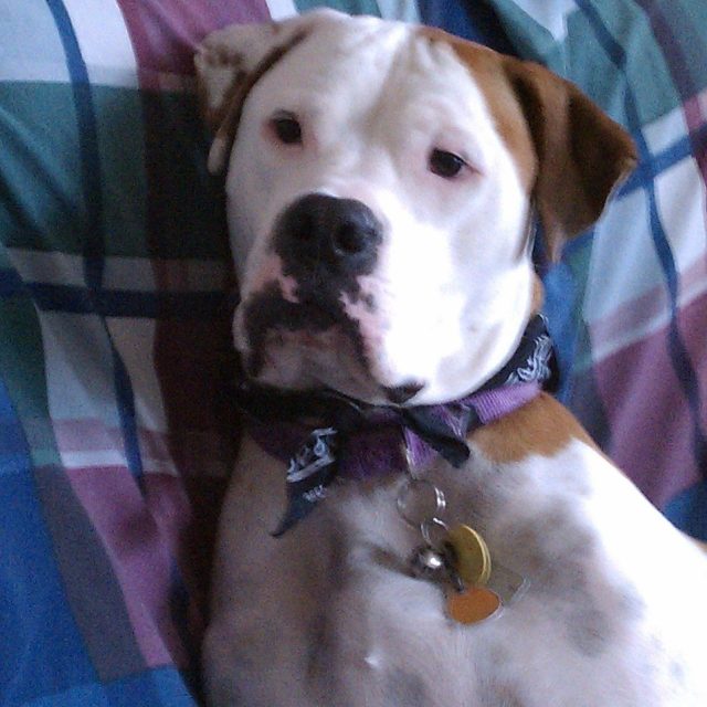 Our Rescue , Bijou.