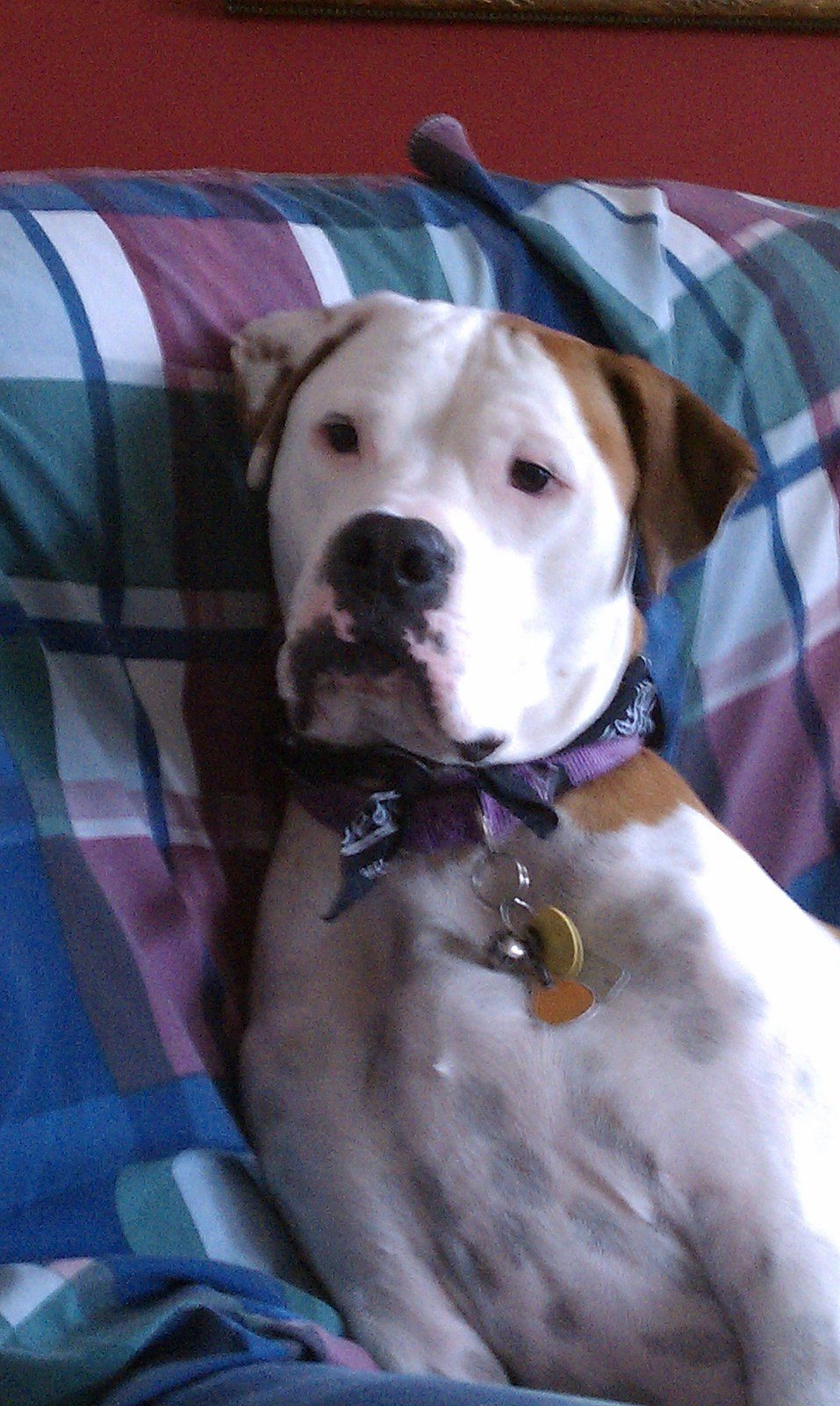 Our Rescue , Bijou.