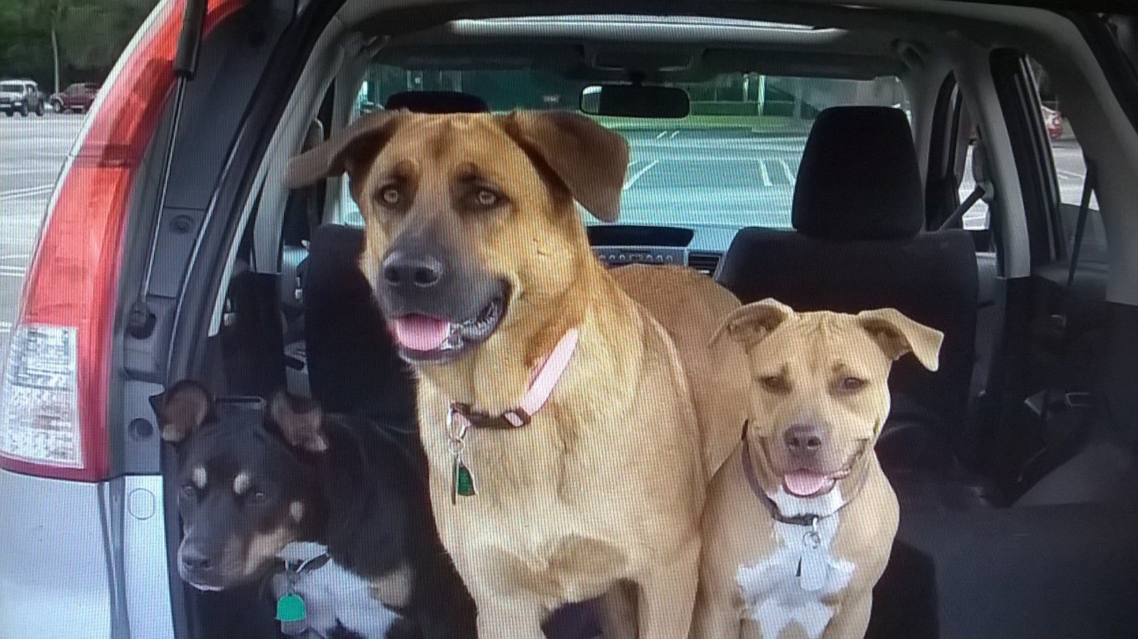 3 Amigos