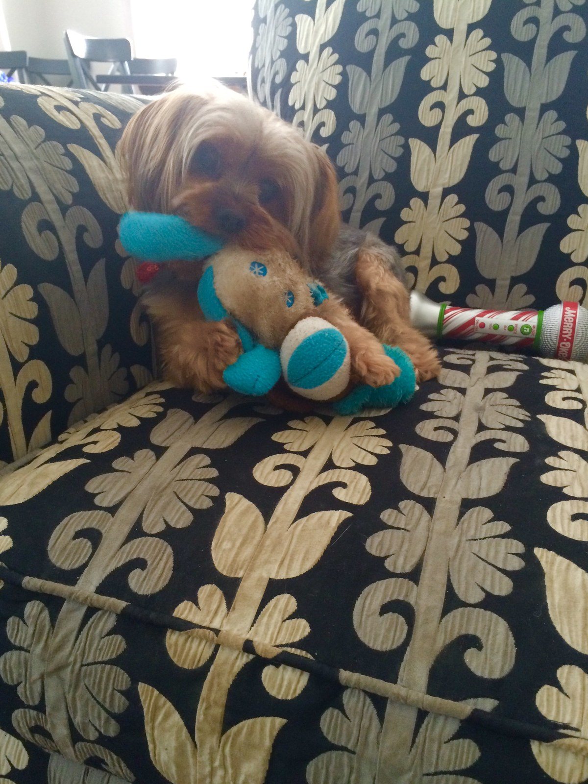Snuggle Buddies