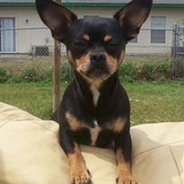 I Dare You To Come In My Yard.