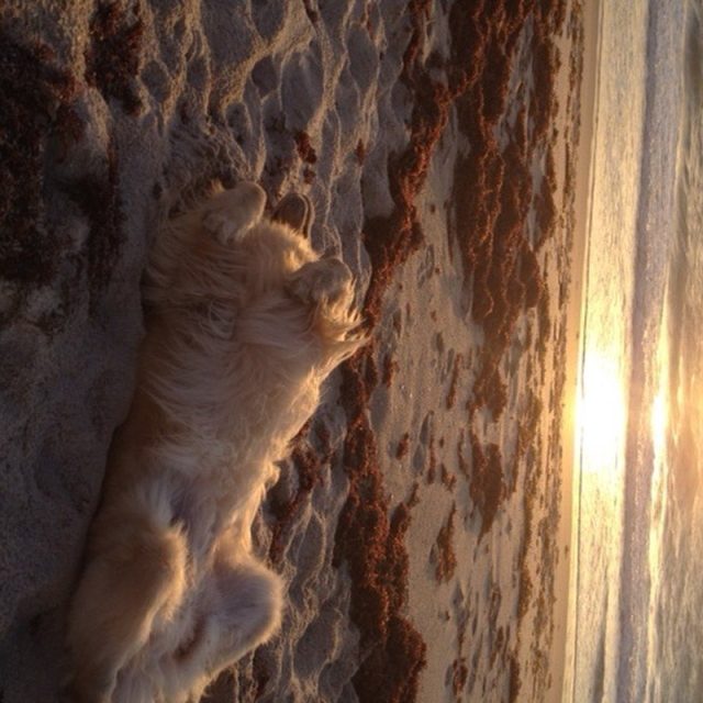 Good Morning, Vero Beac