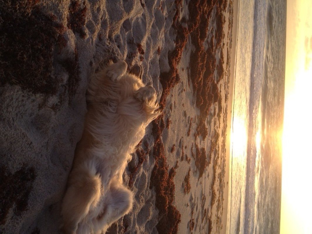 Good Morning, Vero Beac