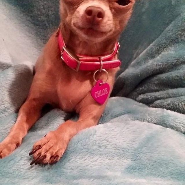 Princess Chloe