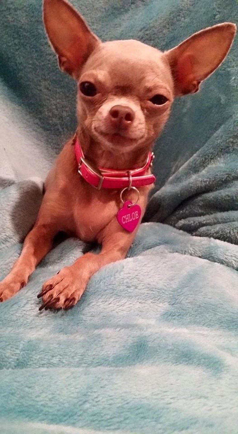 Princess Chloe