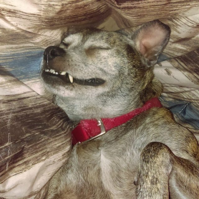Smiling