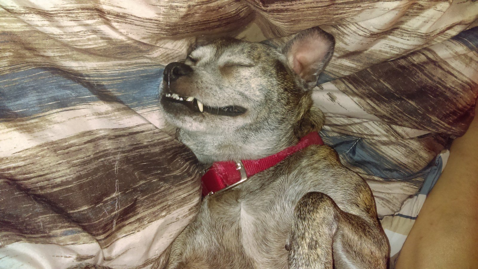 Smiling