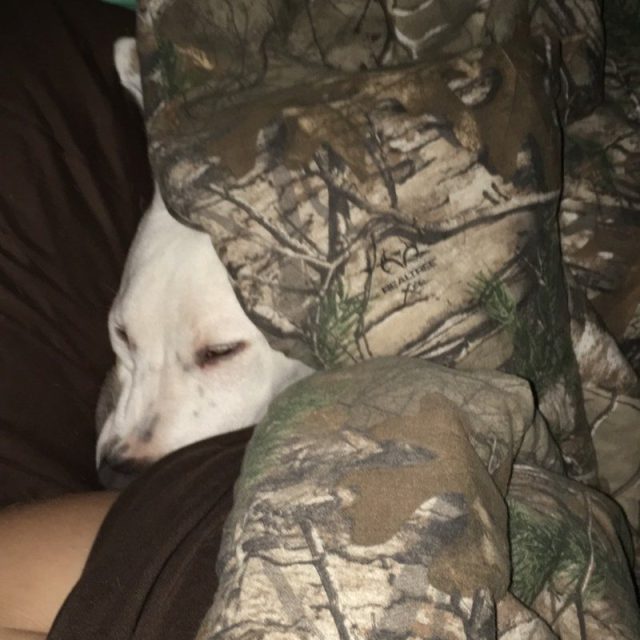 Sleepy Time