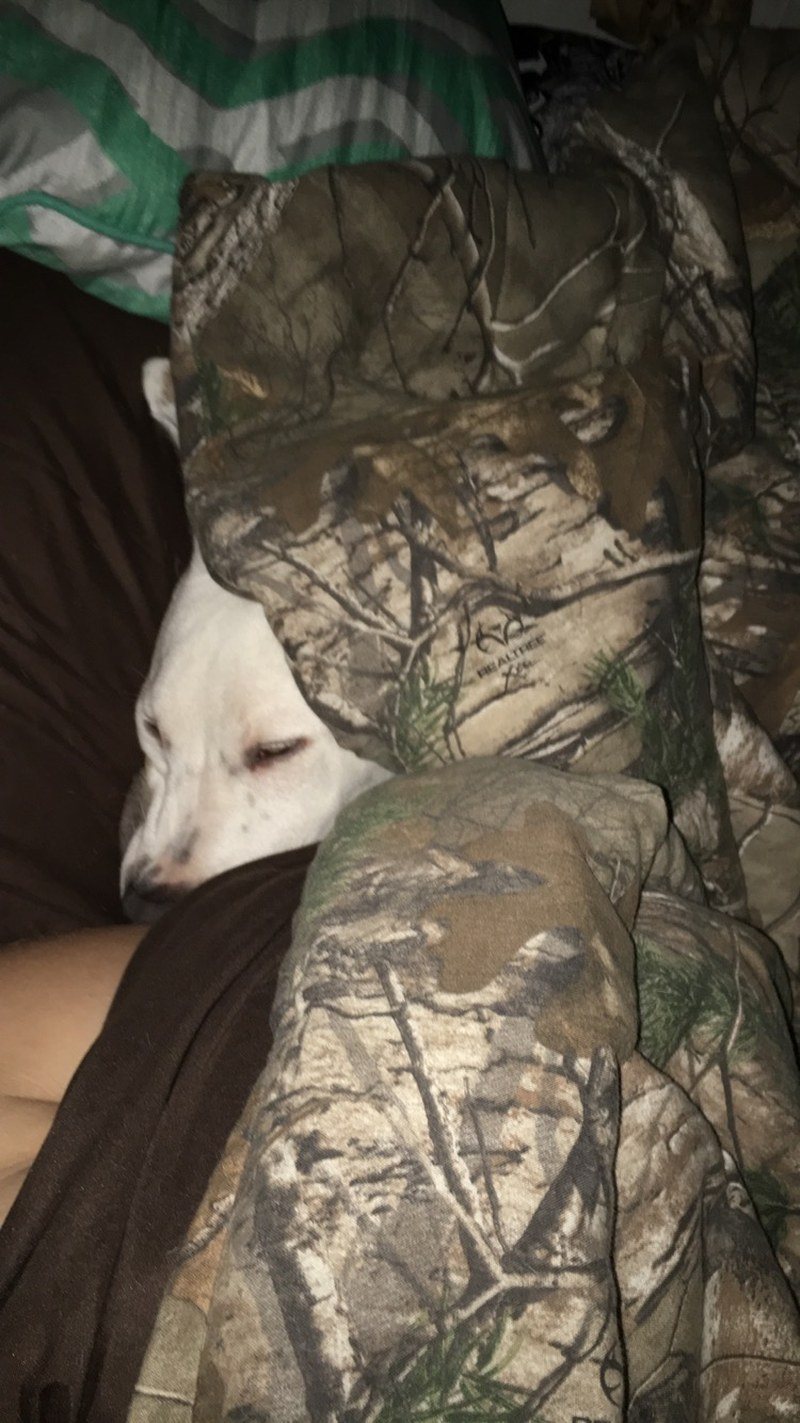 Sleepy Time