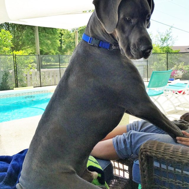 "What Did You Say"??