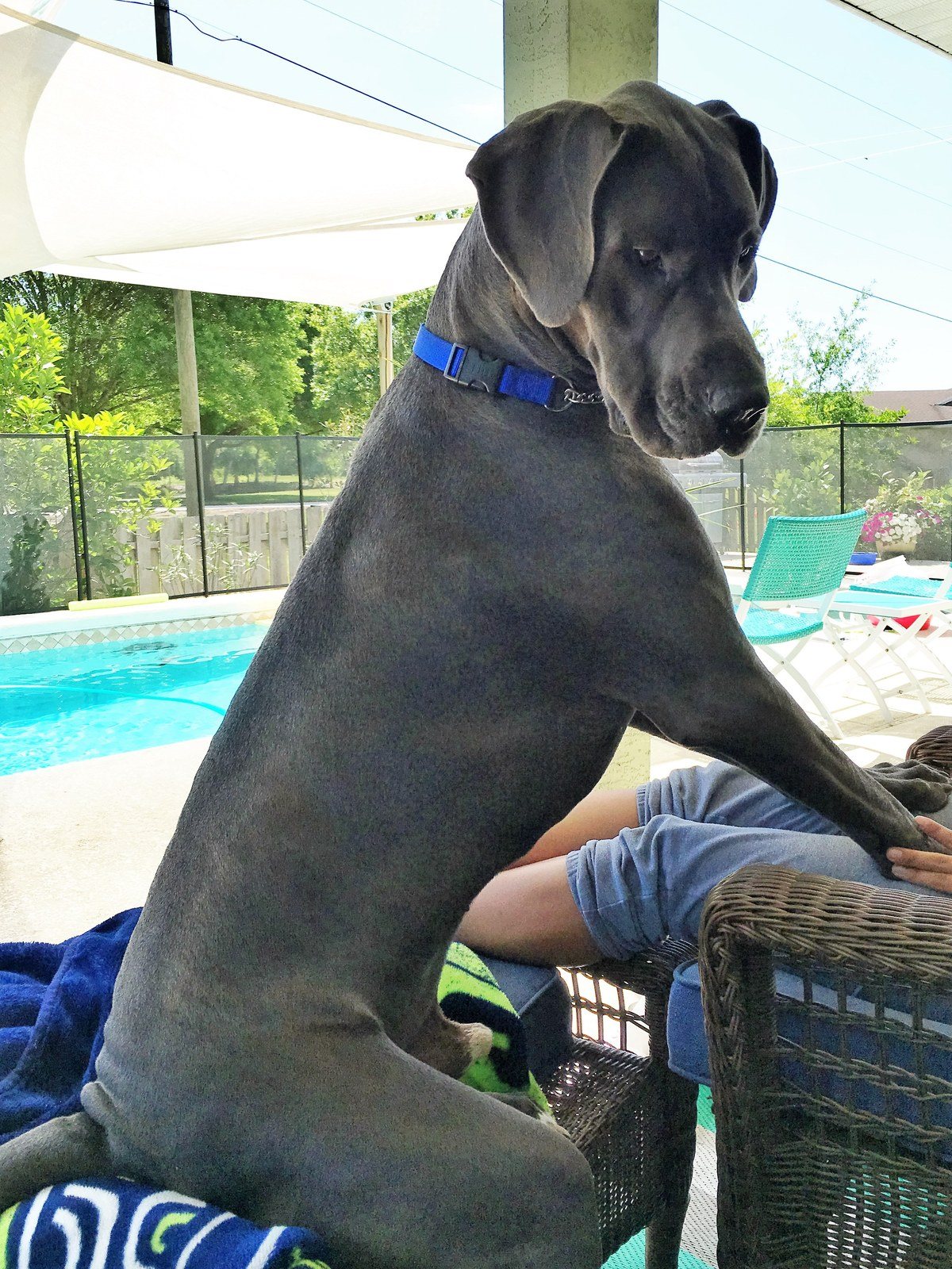 "What Did You Say"??