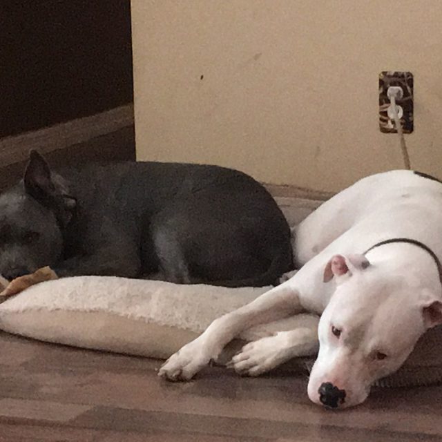 Sharing Is Caring...