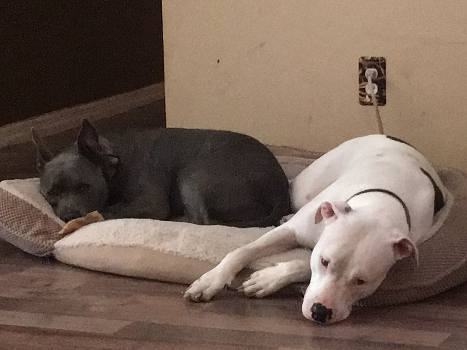 Sharing Is Caring...