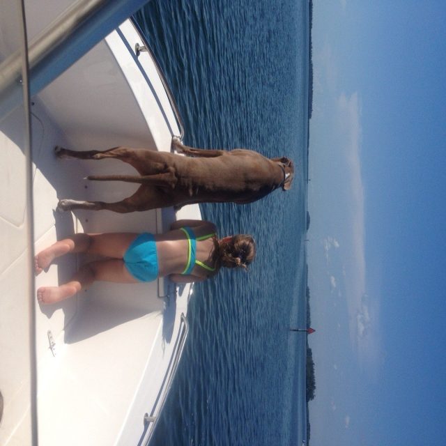 Summer Days