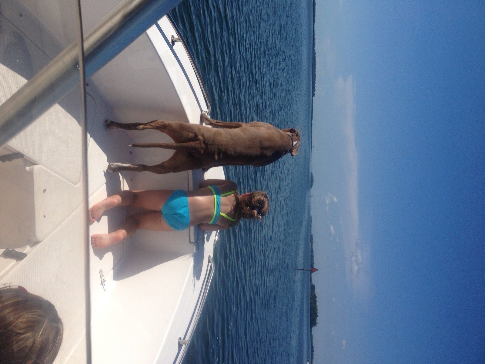 Summer Days