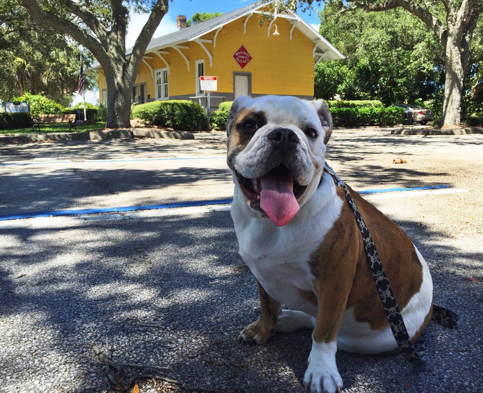 Clyde The Conductor: "All Aboard Bulldog Fans!"