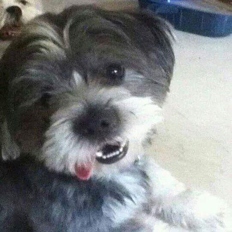 Mr Beethoven