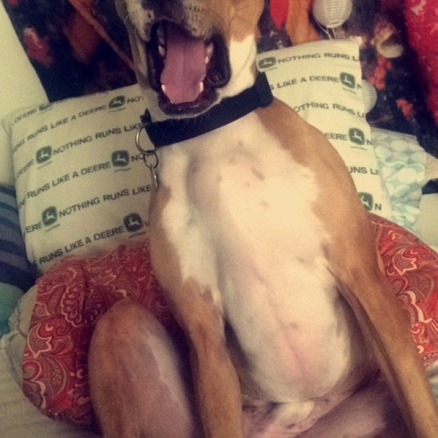 She Said What?!