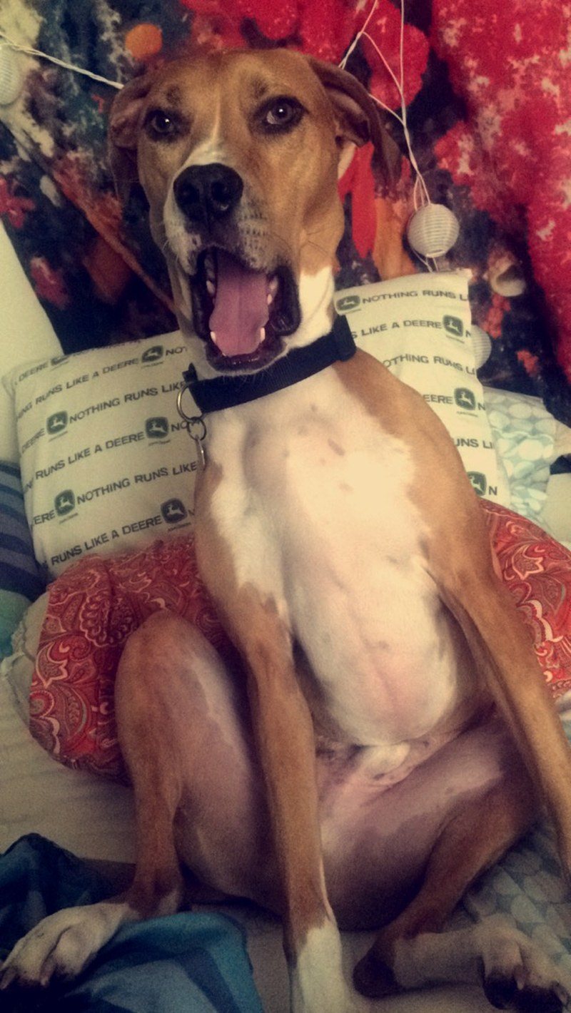She Said What?!