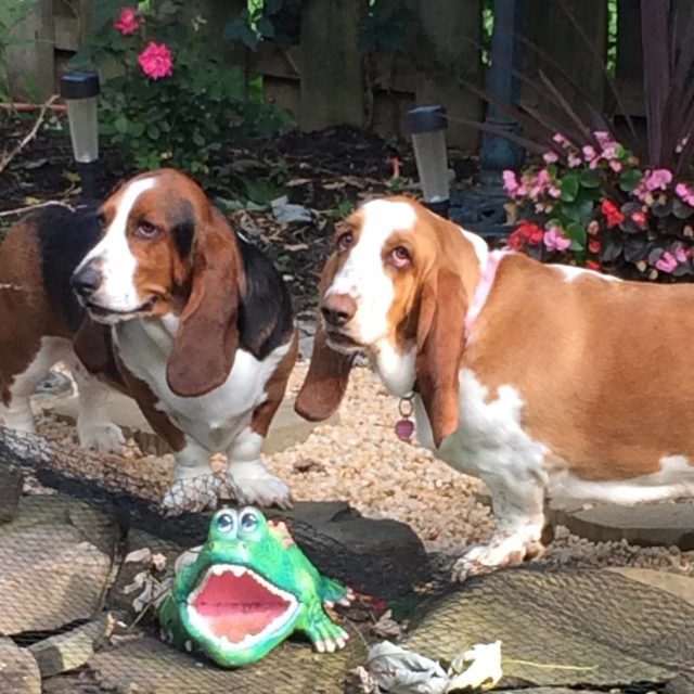 Zoey&maggie