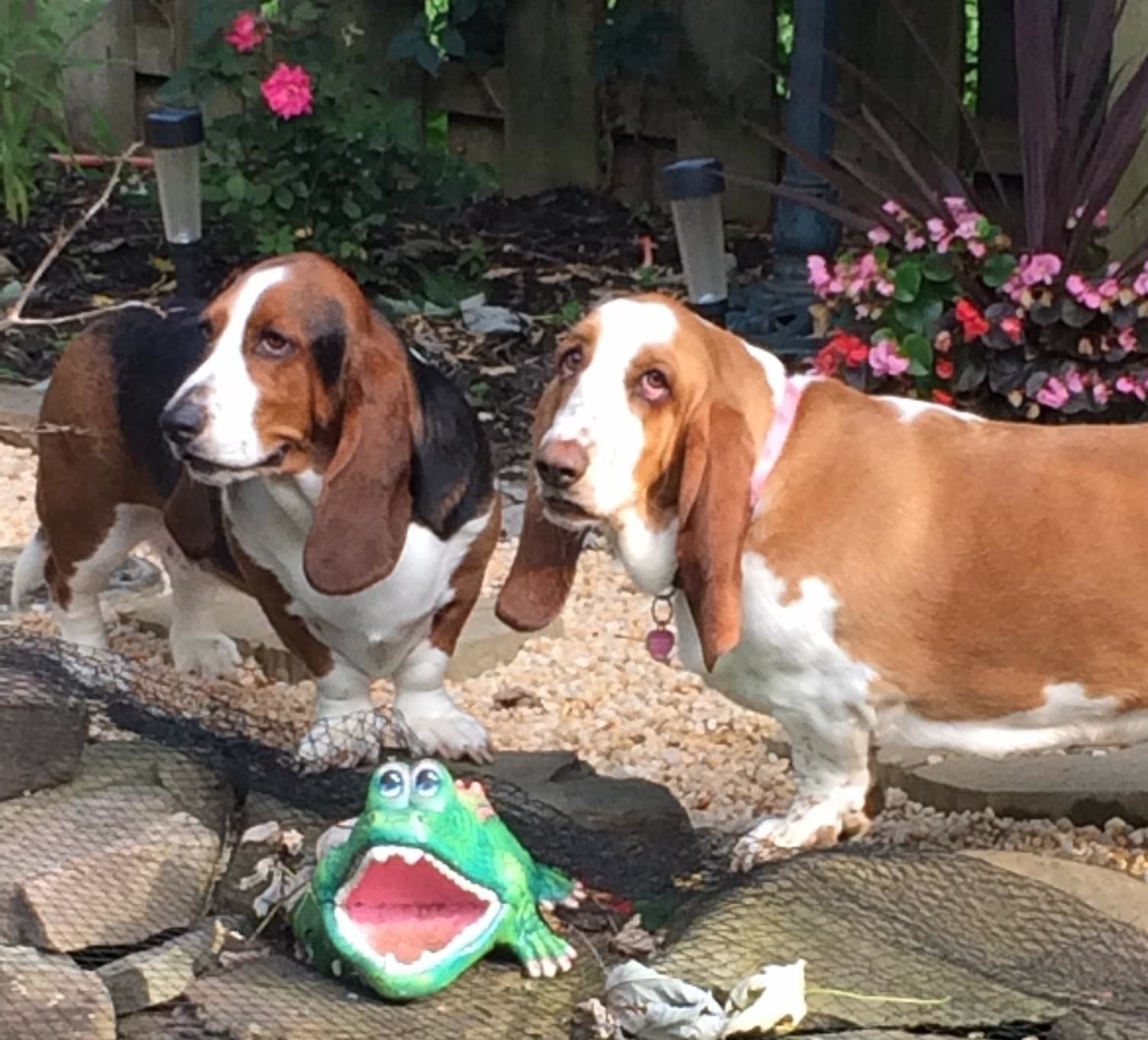 Zoey&maggie