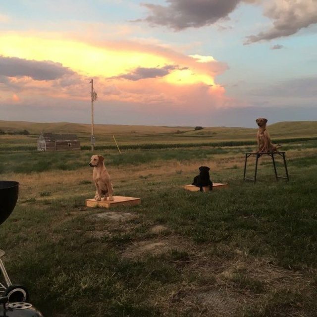 Summer Evening With The Girls