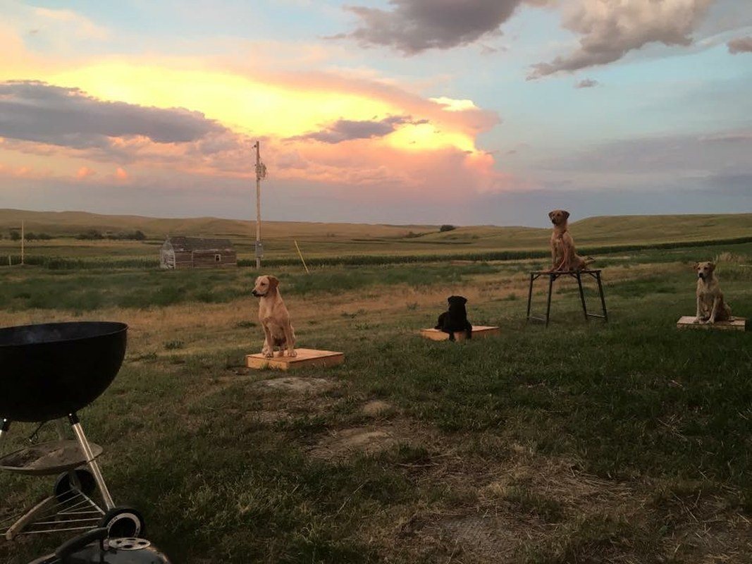 Summer Evening With The Girls