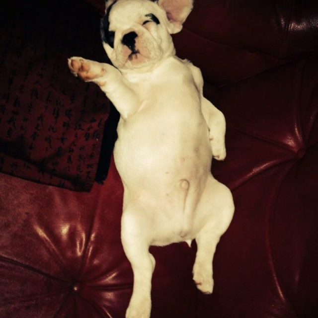 Soooo Comfy