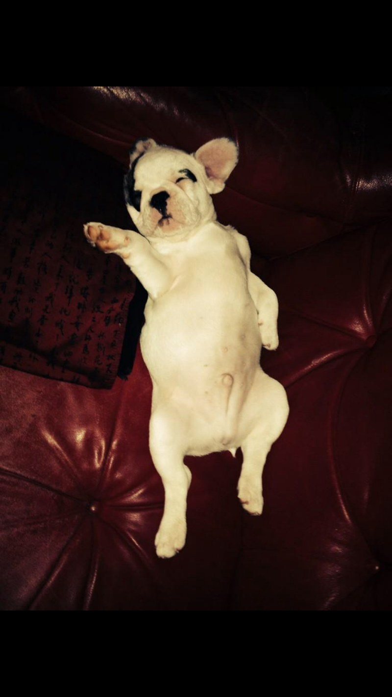 Soooo Comfy
