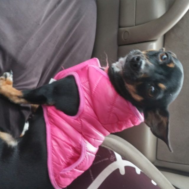 Riding Shotgun